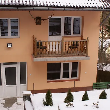 Guest house Vila Aleea