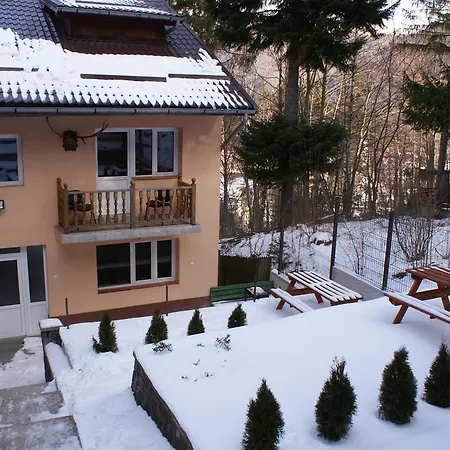 Vila Aleea 3* Sinaia