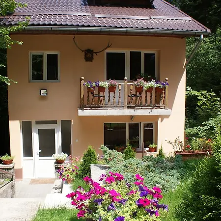 Guest house Vila Aleea 3*