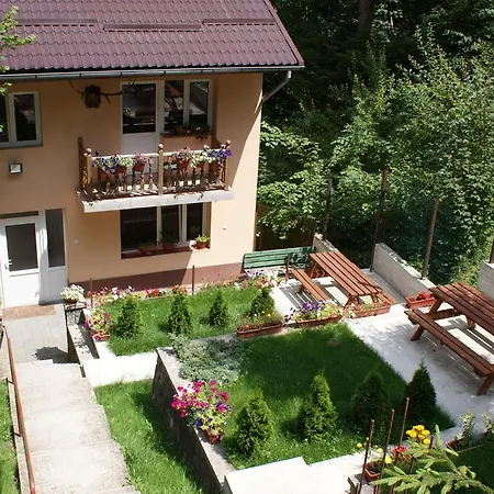 Vila Aleea 3* Sinaia